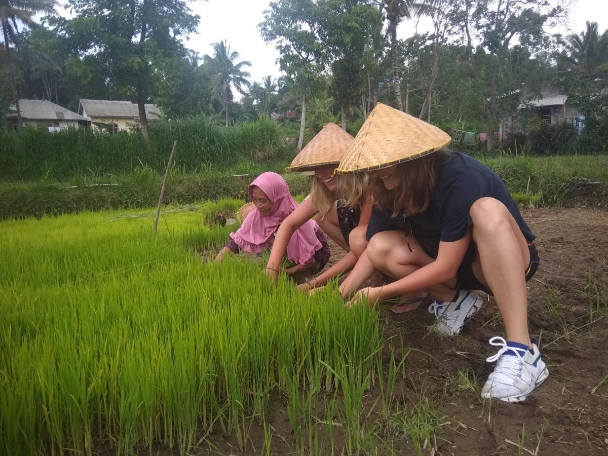 Wina Wani Bungalows Tetebatu Esterno foto