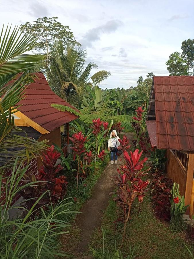 Wina Wani Bungalows Tetebatu Esterno foto