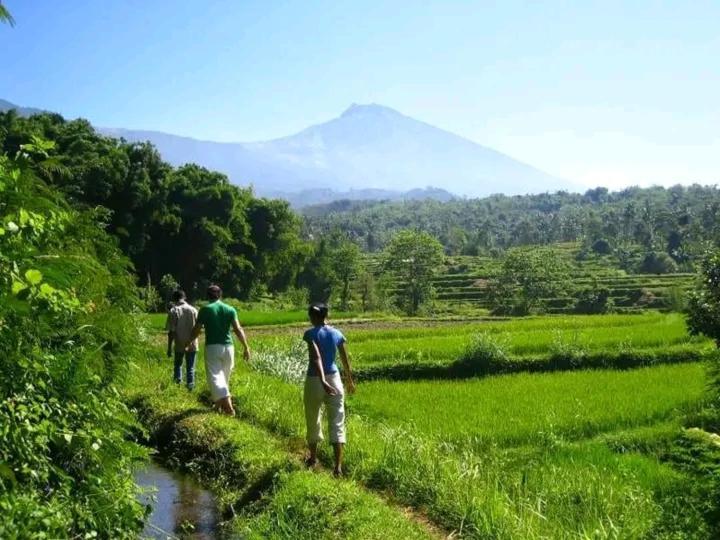 Wina Wani Bungalows Tetebatu Esterno foto