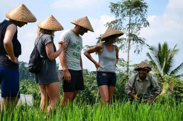 Wina Wani Bungalows Tetebatu Esterno foto