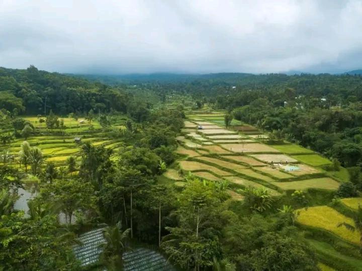 Wina Wani Bungalows Tetebatu Esterno foto