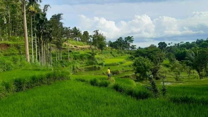 Wina Wani Bungalows Tetebatu Esterno foto