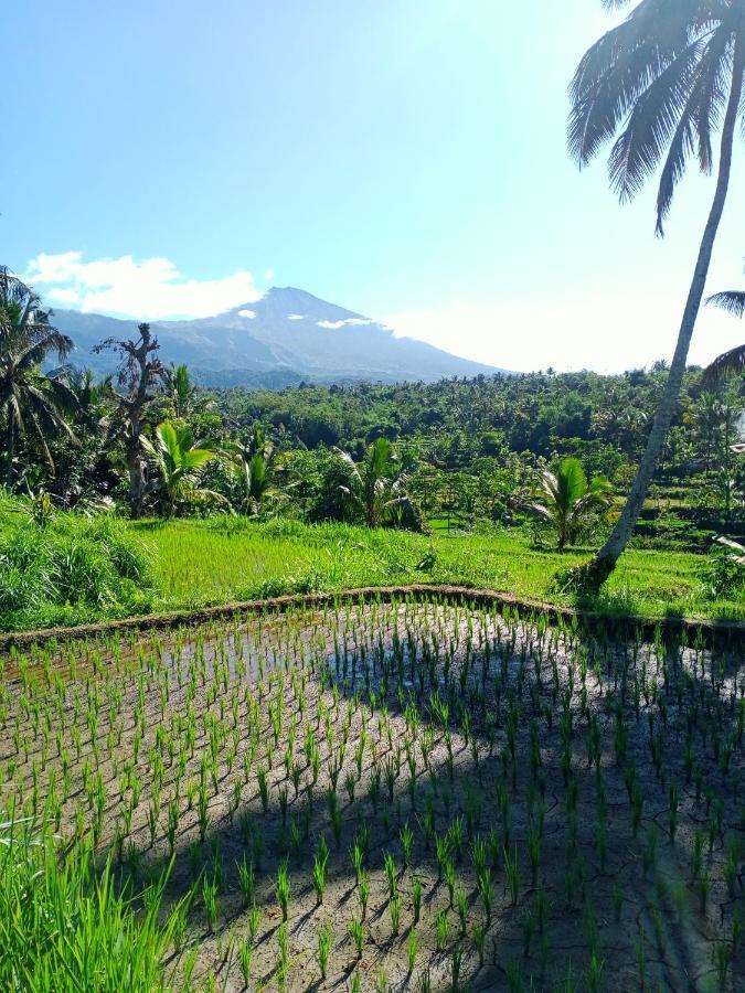 Wina Wani Bungalows Tetebatu Esterno foto