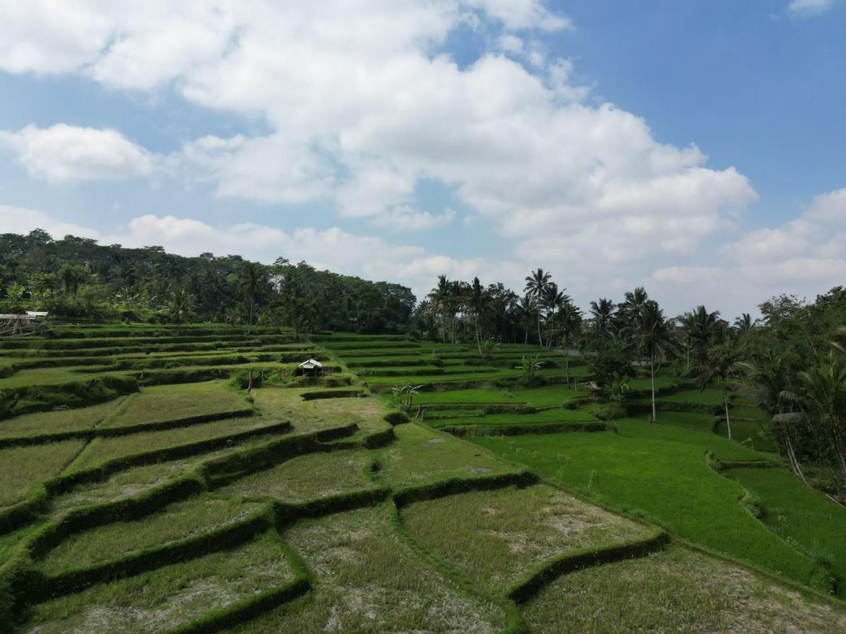 Wina Wani Bungalows Tetebatu Esterno foto