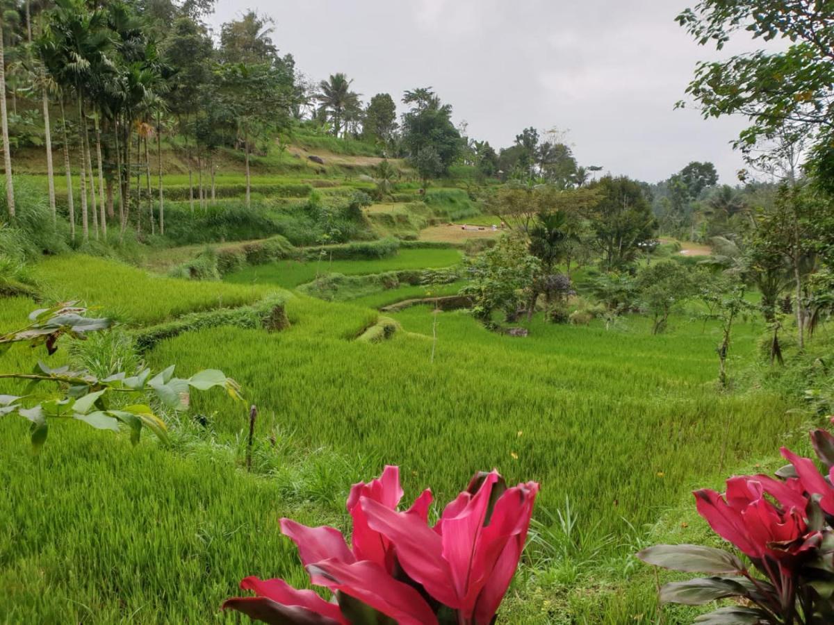 Wina Wani Bungalows Tetebatu Esterno foto