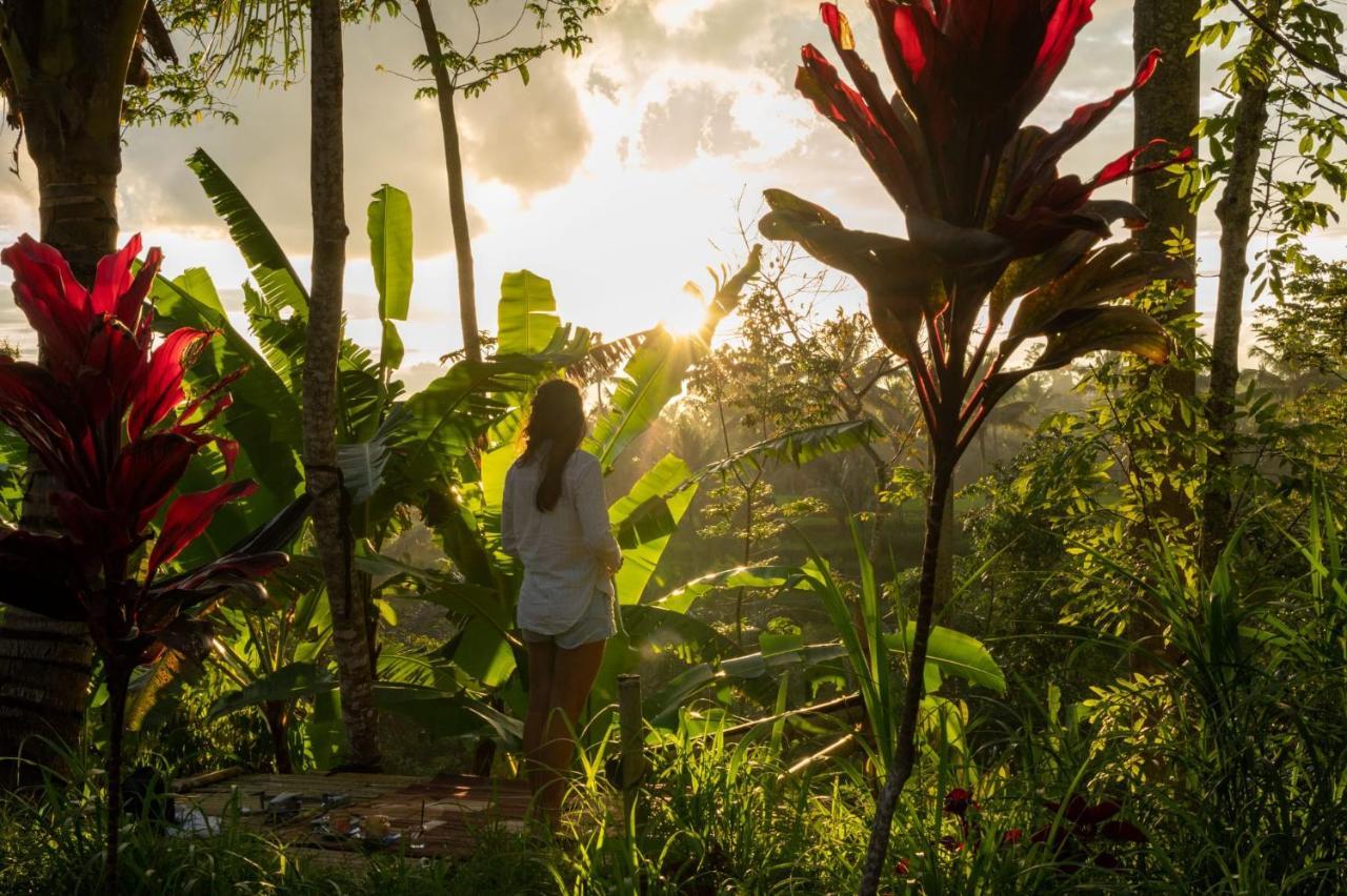 Wina Wani Bungalows Tetebatu Esterno foto